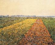 Gustave Caillebotte The Yellow Fields at Gennevilliers Spain oil painting artist